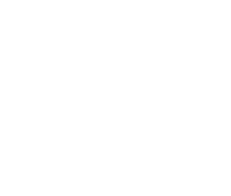 Slovák and Friends logo